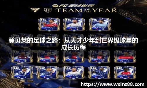 BB贝博ballbet