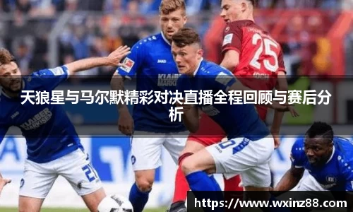 BB贝博登录入口