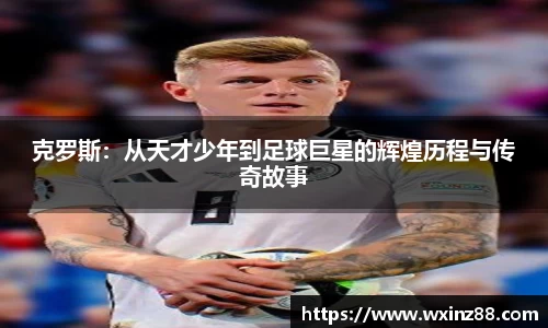 BB贝博登录入口